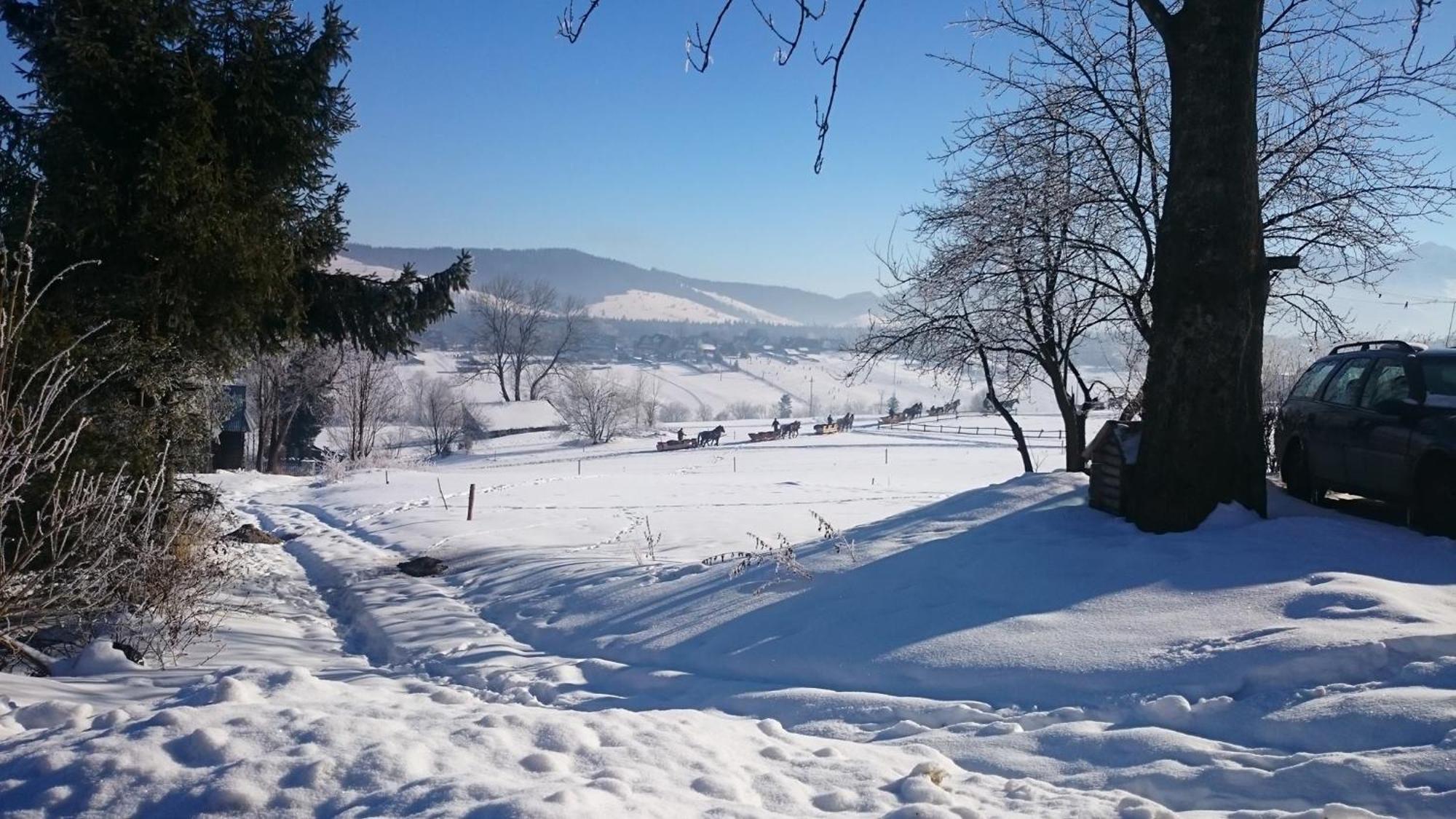 Majerczykowka 29a * Poronin