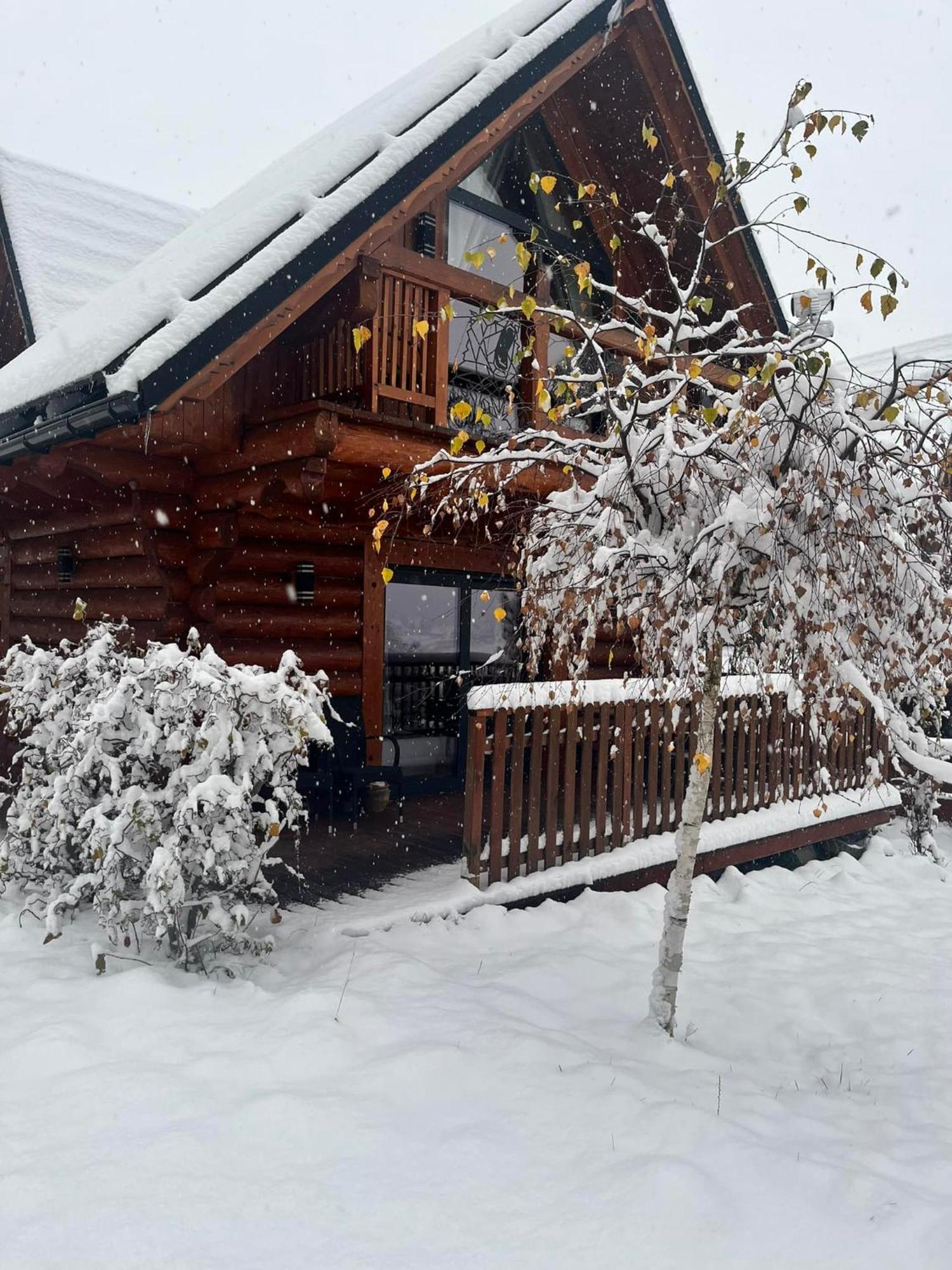 Chalet Majerczykowka 29a *